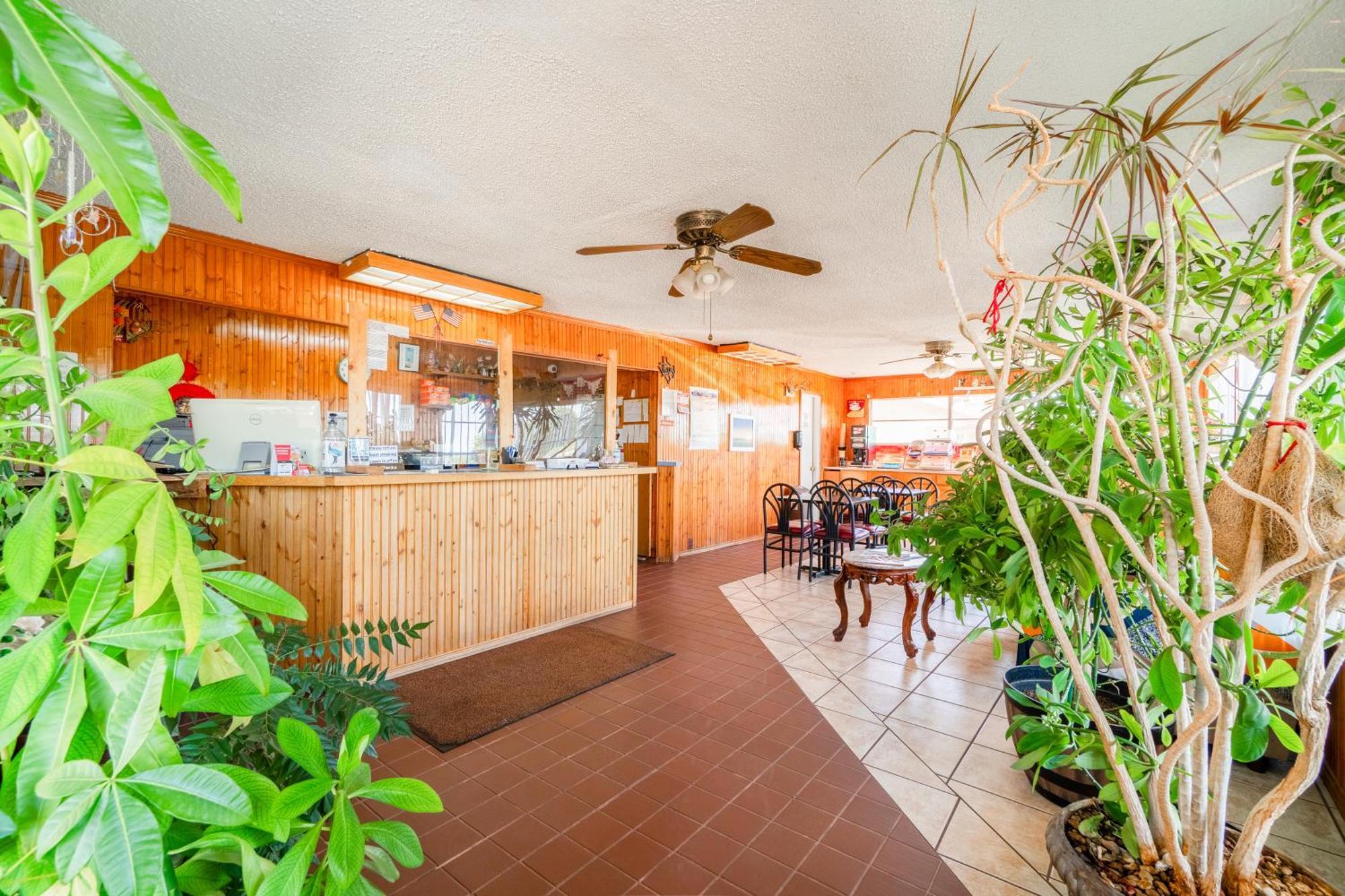 Lone Star Inn By Oyo Vernon Texas Hwy 287 外观 照片